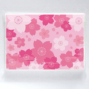 y[TԈȏz|PbgeBbV6W @75×110×8mm@䎆FR[g90kgy1000z