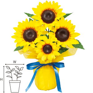 Ђ܂o[bsO|bg@H26×W20cm@zEPEy1z