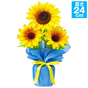 j[Ђ܂胉bsO|bg@ăfR[V u@@@SP2-0021@zEPEEX`[EsDz@H24×W15cm