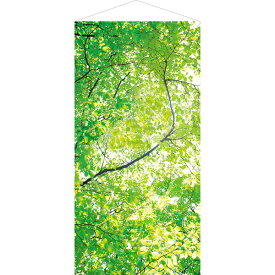 森・自然・木々・木漏れ日タペストリー | 新緑若葉タペストリー（防炎加工）