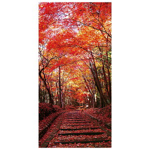 ݂؃^yXg[ihHj@HfR[V ^yXg[@@TC4-0056@eg|W@H180×W90cm