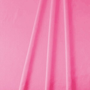 Ten fB[vsNi2Mj@NԃfR[V V[g@@TE8-9045DP@Te@W90×L200cm