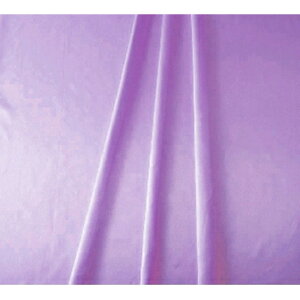 Ten Cgp[vi2Mj@NԃfR[V V[g@@TE8-9045LP@@W90×L200cm