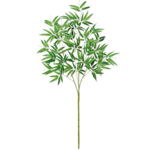 150cm[bȂ΂؁@̑ [|  ou[c[ vX`bN̍ lH  [POP [Ց fR[V fBXvC tFCNO[ ̗t