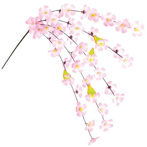 GRV_@tfR[V Xv[EubV@@@TQ1-2012@zEPE@L100cm