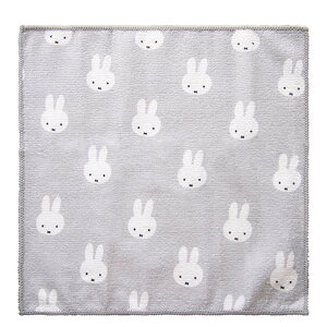 Dick Bruna }CNt@Co[ӂ 炾~btB[(3)