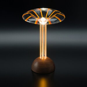 y|Cg10{zPlum Science vTCGX LEDX^hCg Glowide Fontana Stripe O[ChEtH^[iEXgCv t@CAF TF GWF1000-F GWF1000-S 2Nۏ { ouX LED 