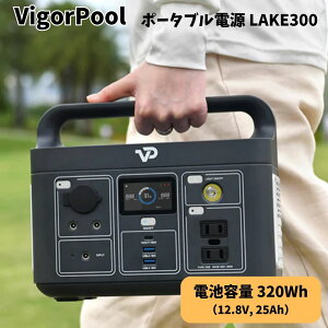 Vigorpool BSv[ |[^ud LAKE300 2Nۏ ŒZ150ŏ[d 320Wh _S [d ^ y  ƒp p s Lv AEghA h