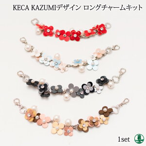 | Lbg KECA KAZUMIIWiLbg O`[ 1Zbg obO ю̃|v