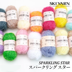 ю  XL[ю Xp[NOX^[ 1 |GXey񏤕iz