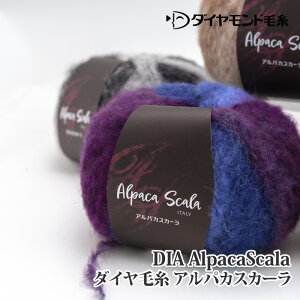 ю ɑ _Cю AS ApJXJ[ 1 ApJy݌ɏiz