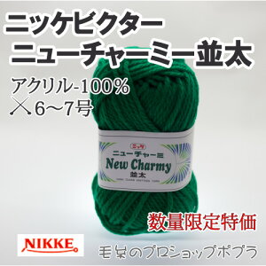 ю  jbPrN^[ NCN j[`[~[ 5ʓ1 AN ю̃|v