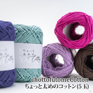 ю  XL[ю Ƒ߂̃Rbg(5) 5ʓ1  Rbgy񏤕iz