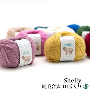 ю  XL[ю VF[э(10) 10ʓ1  E[ ю̃|v