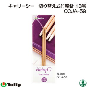 ҂ݐj `[bv CCJA-59 L[V[ ؑ֎֐j 13 1g ֐j ю̃|v