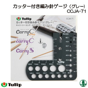 ҂ݕ `[bv CCJA-71 Jb^[tݐjQ[W(O[) 1P ҕpi ю̃|v