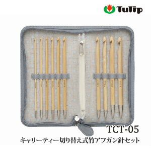 TCT-05 Z[ L[eB[؂ւ|AtKjZbg ю̃|v