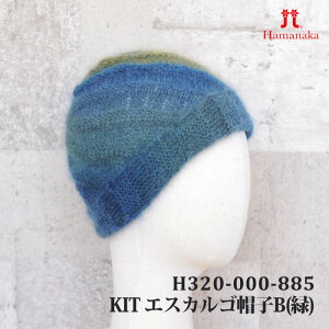҂ݕ KIT n}iJ H320-000-885 GXJSXqB() 1P H~ Xqy񏤕iz