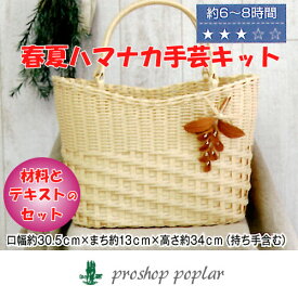 手芸 KIT ハマナカ H360-246 コサージュ付き楕円底バッグ 1セット バッグ 毛糸のポプラ