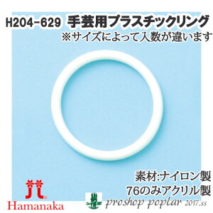 | n}iJ H204-629 |pvX`bNO yށz ю̃|v