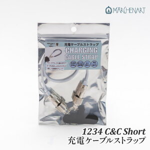 ��| ���� �����w���A�[�g 1234 �[�d�P�[�u���X�g���b�v �V���[�g(Type-C) 1�{ ���̑��y��񏤕i�z