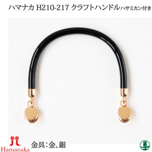 |  n}iJ H210-217 Ntgnh ͂݃J 1P vX`bNy񏤕iz