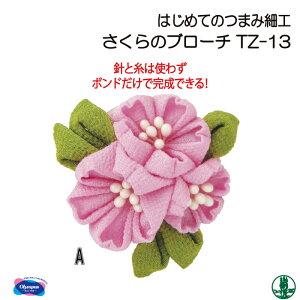 | KIT IpX TZ-13 ̃u[` 1g ̑ ю̃|v