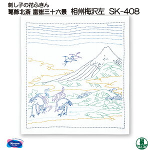 | KIT IpX SK-408 B~ 1g ӂ ю̃|v