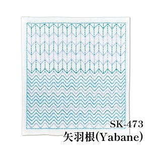 | KIT IpXN SK473 H 1g ӂy񏤕iz