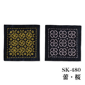 | KIT IpXN SK-480 QE 1g ӂy񏤕iz