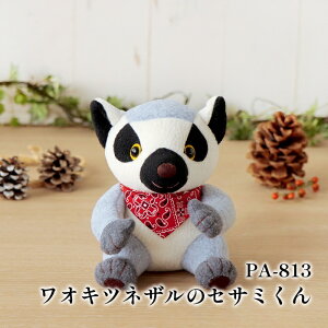 | KIT IpXN PA813 ILclŨZT~ 1Zbg ʂ݁y񏤕iz