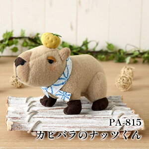 | KIT IpXN PA815 Jsõibc 1Zbg ʂ݁y񏤕iz