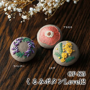 | KIT IpXN GP-K5 ݃{^ Level2 1P  y񏤕iz