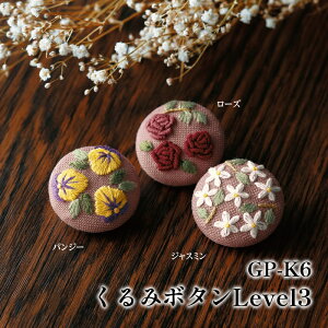 | KIT IpXN GP-K6 ݃{^ Level3 1P  y񏤕iz