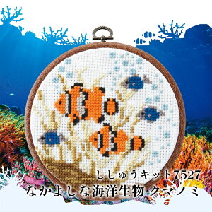 | KIT IpXN hイLbg7527 N}m~ 1g y񏤕iz