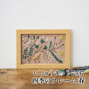 | KIT IpXN hイLbg7537 t 1g CeA y񏤕iz