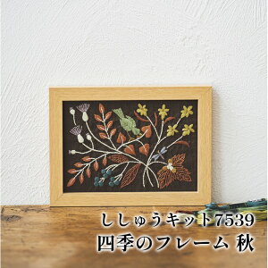 | KIT IpXN hイLbg7539 H 1g CeA y񏤕iz