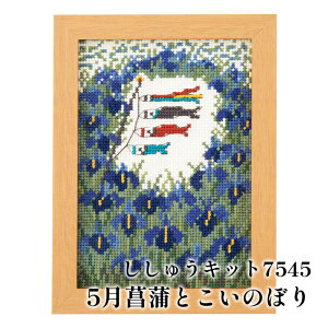 | KIT IpXN hイLbg7545 5ҊƂ̂ڂ 1g CeA y񏤕iz
