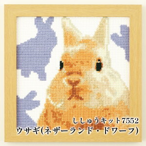 手芸 KIT オリムパス製絲 刺しゅうキット7552 ウサギ 1組 インテリア 【取寄商品】