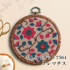 | KIT IpXN hイLbg7564 N}`X 1g  y񏤕iz