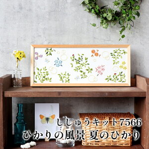 | KIT IpXN hイLbg7566 Ă̂Ђ 1g CeA y񏤕iz