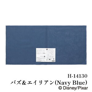 | KIT IpXN H14130oYGCA(NavyBlue)3 31 ӂy񏤕iz