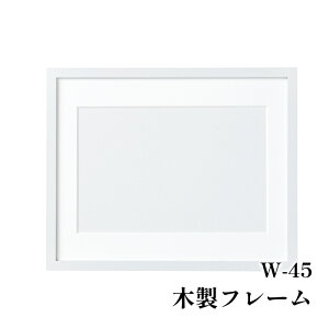 | IpXN W-45 ؐt[ 1P zy񏤕iz
