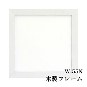 | IpXN W-55N ؐt[ 1P zy񏤕iz