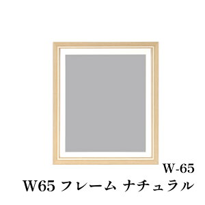 | IpXN W-65 t[ i` 1P zy񏤕iz