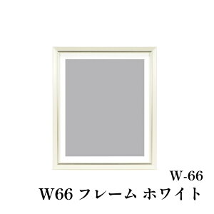 | IpXN W-66 t[ zCg 1P zy񏤕iz