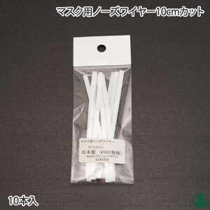 | |vIWi }XNpm[YC[(10cm×10{)̑ ю̃|v