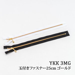 YKK ʕtt@Xi[25cm 3MG(S[h) 1{ t@Xi[
