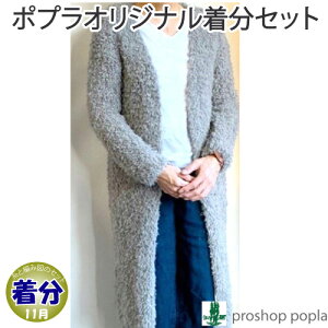 yH~zOJ[fBKyҁzy҂ݕLbgz ю̃|v