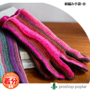 yH~zו҂ݎ܁Eԁyҁzy҂ݕLbgz ю̃|v